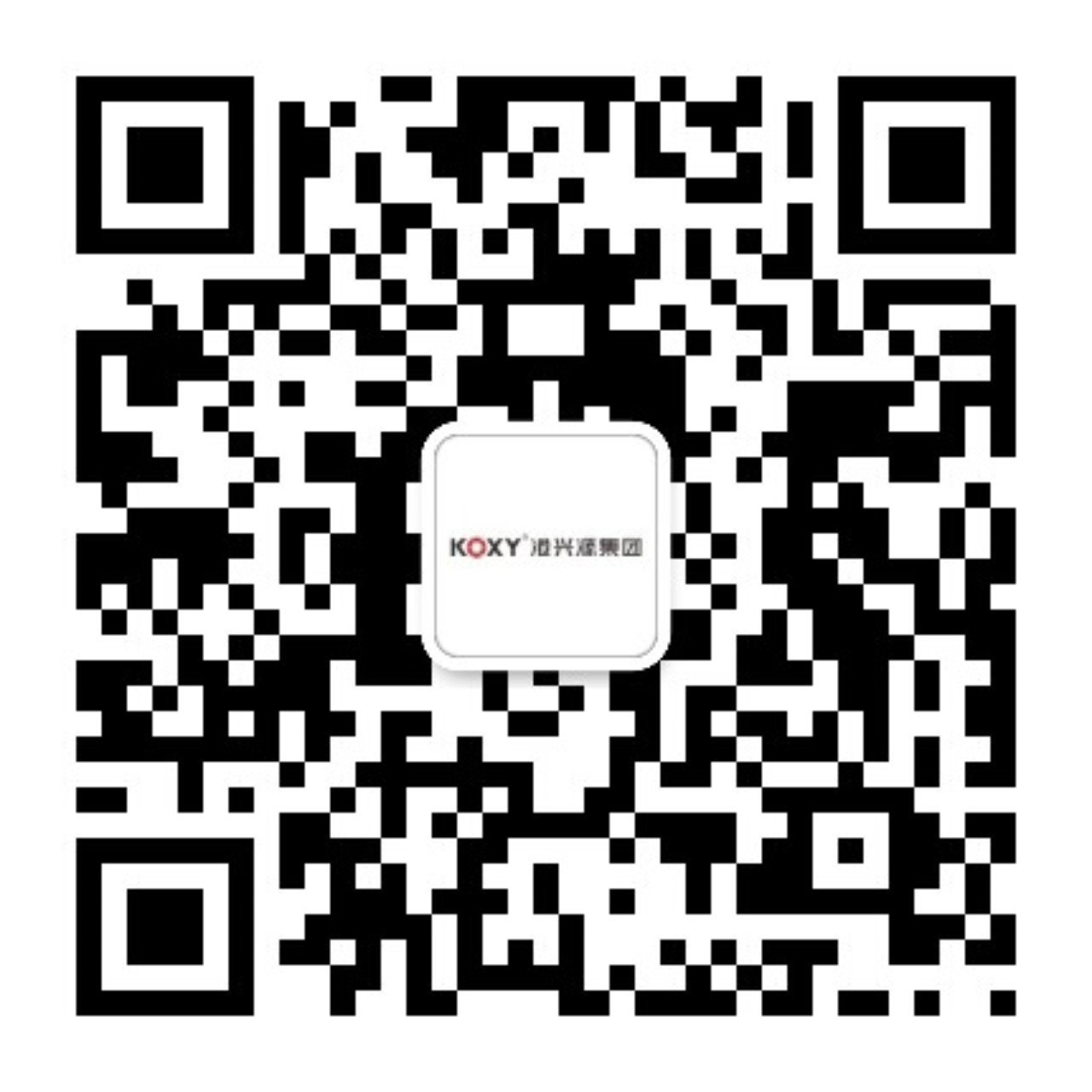 廣東麻豆精品控股集團有限公司